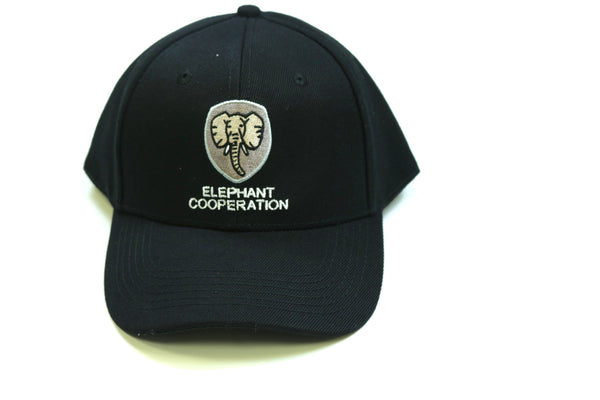 EC Logo Snapback Hat