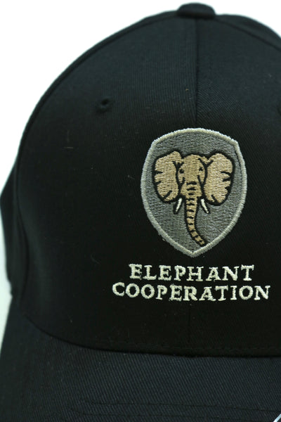 EC Logo Flex Fit Hat