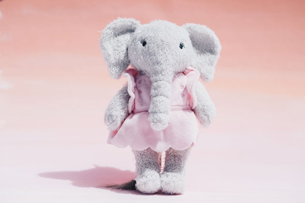 Kiki - The Elephant Project
