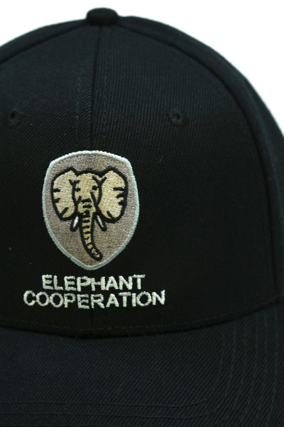 EC Logo Snapback Hat